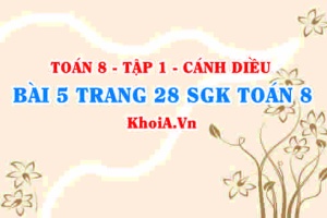 Bài 5 trang 28 SGK Toán 8 tập 1 Cánh Diều